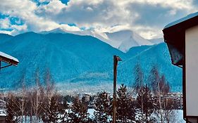 Pirin Dream View Apartments